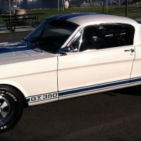 1965 Ford Mustang/Shelby GT350 Tribute Replica - Image 3