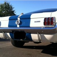 1965 Ford Mustang/Shelby GT350 Tribute Replica - Image 14