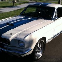 1965 Ford Mustang/Shelby GT350 Tribute Replica - Image 2